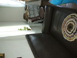exp-zr-2009 530